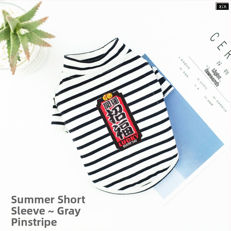 Дрехи за кучета за есен и зима, есенни и зимни стилове за котки, плюшено мече, бишон, померан, малки кучета, кученца, домашни любимци, пролетни и есенни стилове