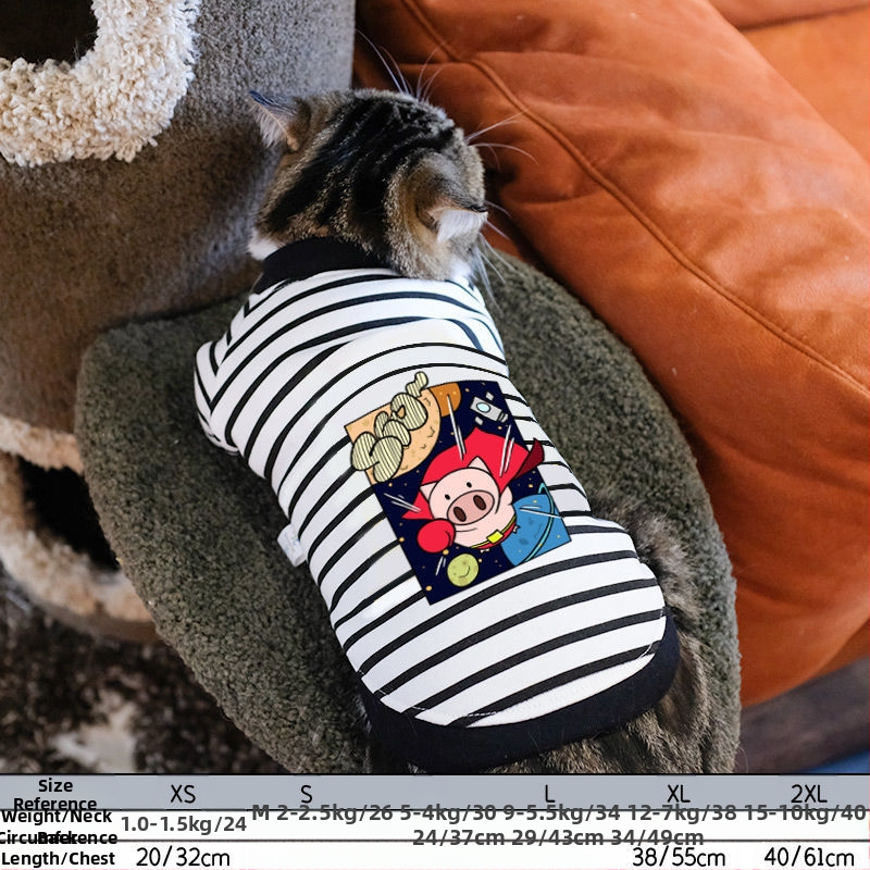 Дрехи за кучета за есен и зима, есенни и зимни стилове за котки, плюшено мече, бишон, померан, малки кучета, кученца, домашни любимци, пролетни и есенни стилове