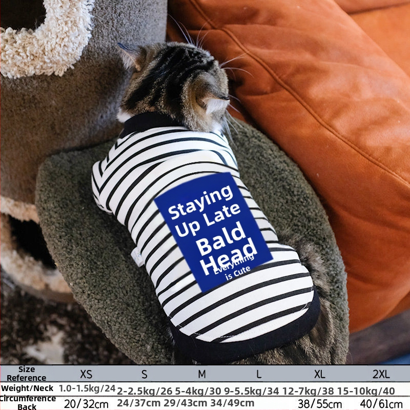 Дрехи за кучета за есен и зима, есенни и зимни стилове за котки, плюшено мече, бишон, померан, малки кучета, кученца, домашни любимци, пролетни и есенни стилове