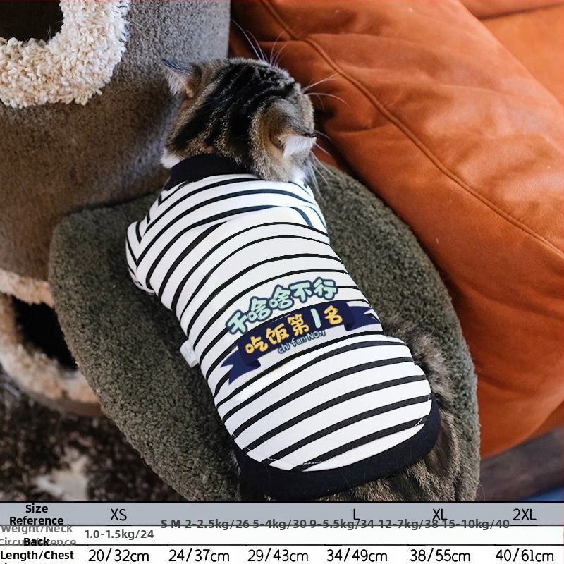 Дрехи за кучета за есен и зима, есенни и зимни стилове за котки, плюшено мече, бишон, померан, малки кучета, кученца, домашни любимци, пролетни и есенни стилове