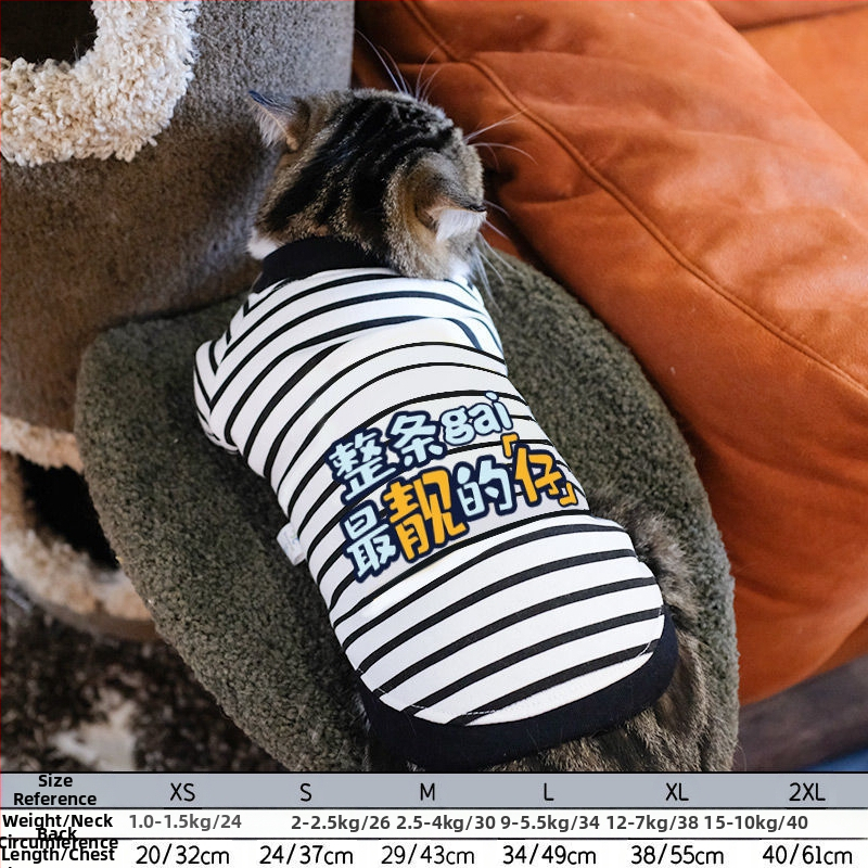 Дрехи за кучета за есен и зима, есенни и зимни стилове за котки, плюшено мече, бишон, померан, малки кучета, кученца, домашни любимци, пролетни и есенни стилове