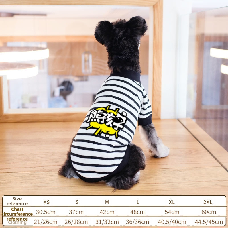 Дрехи за кучета за есен и зима, есенни и зимни стилове за котки, плюшено мече, бишон, померан, малки кучета, кученца, домашни любимци, пролетни и есенни стилове