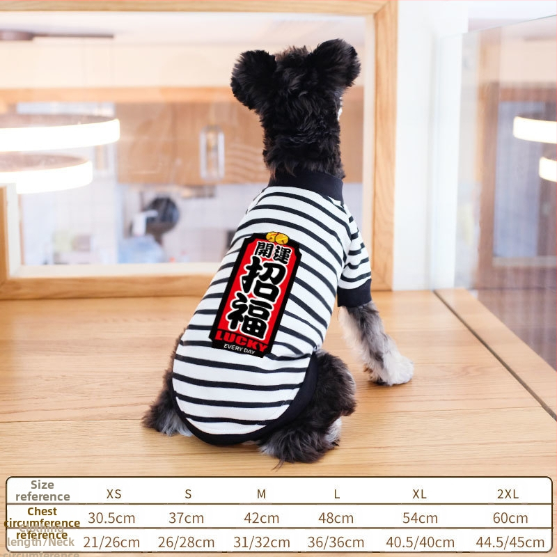 Дрехи за кучета за есен и зима, есенни и зимни стилове за котки, плюшено мече, бишон, померан, малки кучета, кученца, домашни любимци, пролетни и есенни стилове