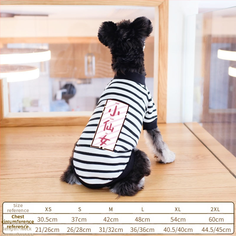 Дрехи за кучета за есен и зима, есенни и зимни стилове за котки, плюшено мече, бишон, померан, малки кучета, кученца, домашни любимци, пролетни и есенни стилове