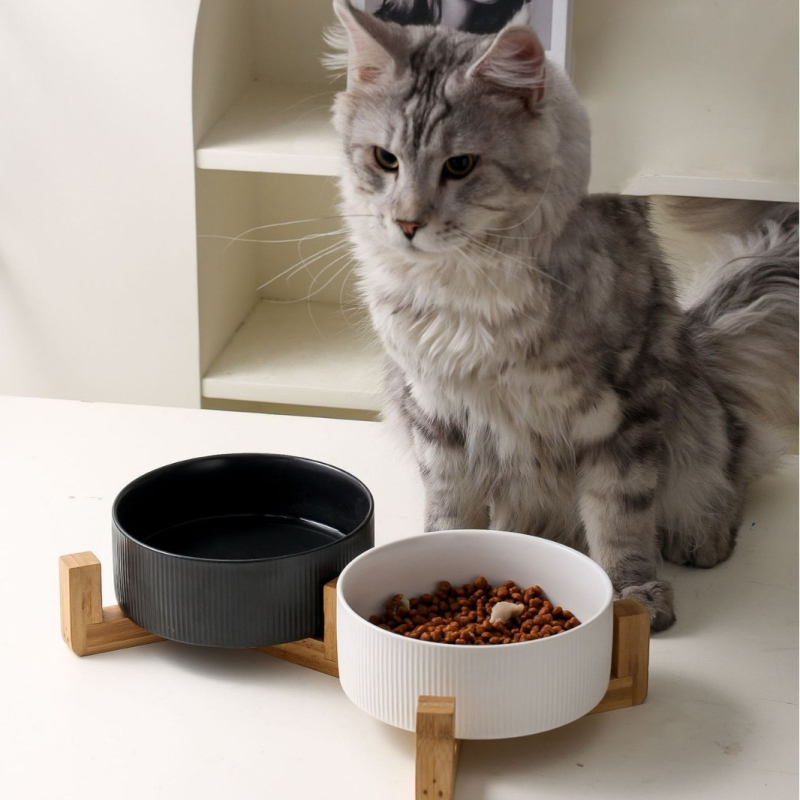 Bol ceramic transfrontalier pentru animale de companie, bol negru pentru pisici, bol cu apă pentru câini, diametru mare, anti-bărbie neagră, bol pentru hrană pentru pisici, bol cu apă anti-șuntare