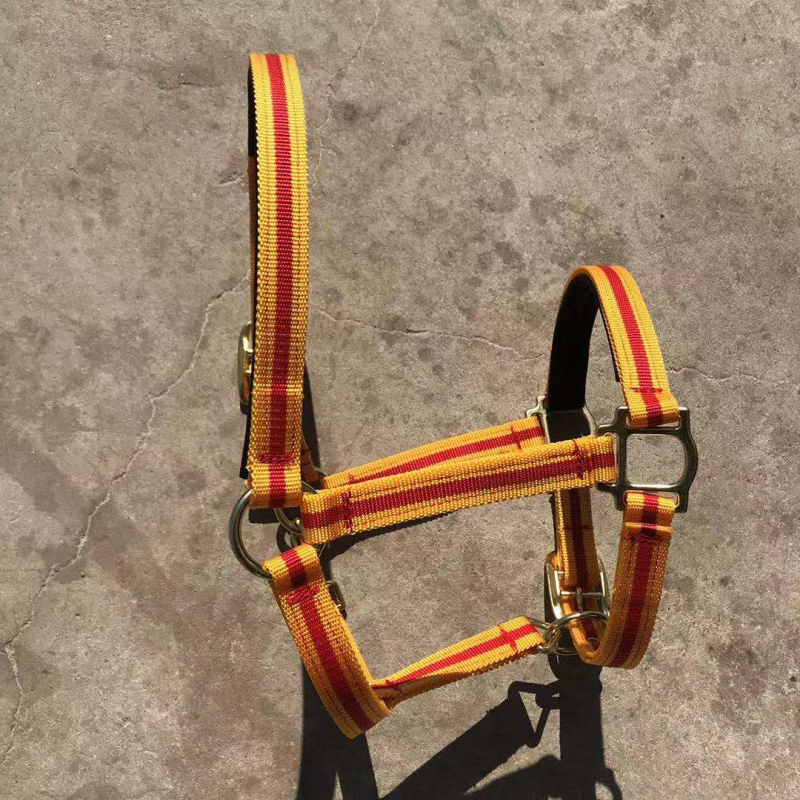 Hoidmisrihmad, täispikk jahvatuskindel puurikomplekt, ratsavarustus, poni suuruses kraan, professionaalsed jahvatuskindlad valjad