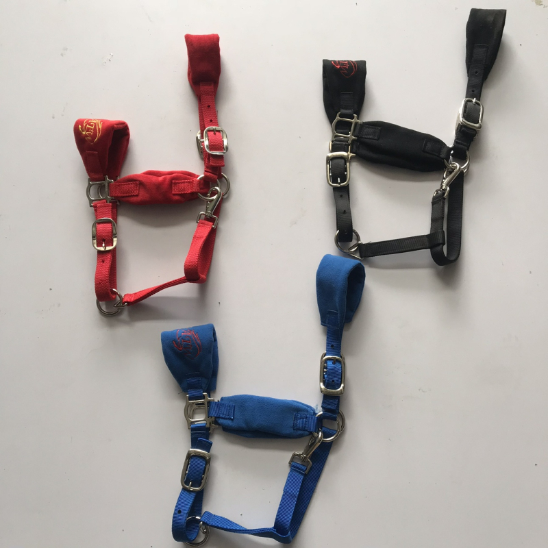 Hoidmisrihmad, täispikk jahvatuskindel puurikomplekt, ratsavarustus, poni suuruses kraan, professionaalsed jahvatuskindlad valjad