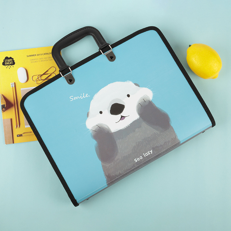 Armas õpilasele mõeldud käeshoitav testikirjaklamber, 13 ruuduga lukuga akordionikott, mahukas klassifitseerimise ja korraldamise kosmeetikakott