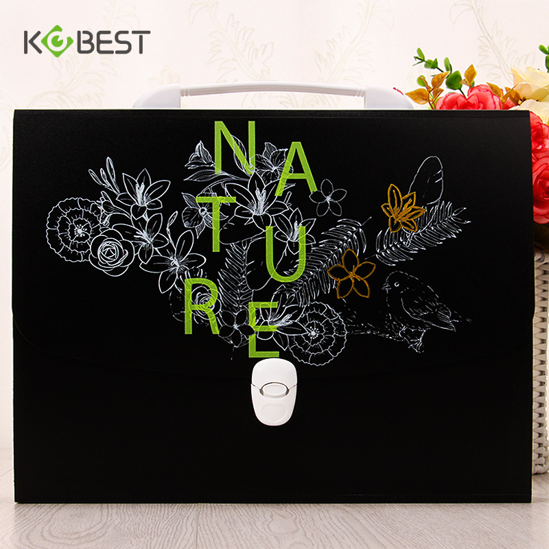 Armas õpilasele mõeldud käeshoitav testikirjaklamber, 13 ruuduga lukuga akordionikott, mahukas klassifitseerimise ja korraldamise kosmeetikakott