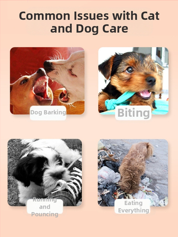 Koera treeningkepp lemmikloomadele, koera treeningkepp, armastusepiitsa treening, koeraharidus, muud tarvikud, tasuta saatmine