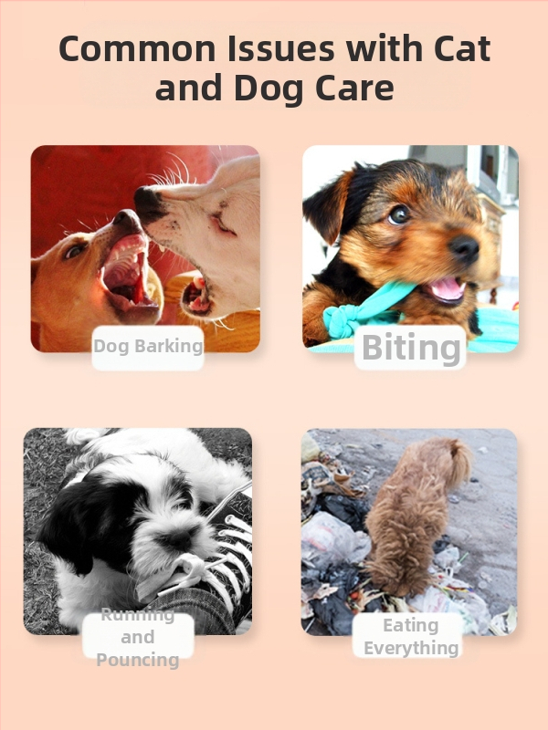 Koera treeningkepp lemmikloomadele, koera treeningkepp, armastusepiitsa treening, koeraharidus, muud tarvikud, tasuta saatmine