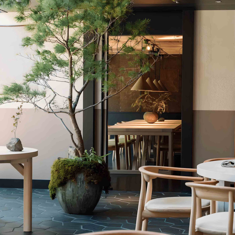 Ζωντανή μετάδοση δωματίου με άγκυρα, φόντο τοίχου, διακόσμηση φωτογραφιών, απλή εισαγωγή, τρισδιάστατο ζεστό φόντο, ύφασμα, ζωντανό ύφασμα HD