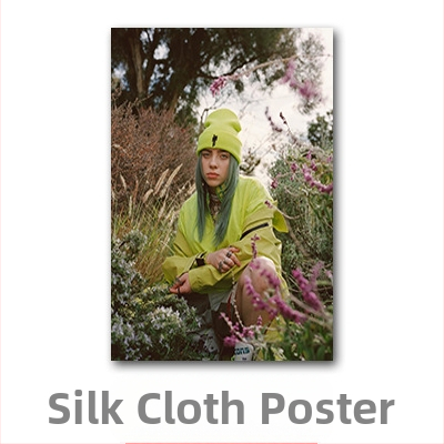 Aliexpressi piiriülene Billie Eilishi kuulsuste plakat, Billie Eilishi Euroopa ja Ameerika tegelaskujude magamistoa ja elutoa seinapilt