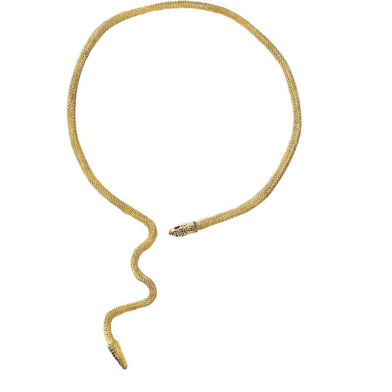 Eiropas un Amerikas Savienoto Valstu pārrobežu pārspīlēta maza metāla čūskas tinuma apkakle, Y formas kaklarota, rokassprādze, kas atbilst regulējamai personības nišai