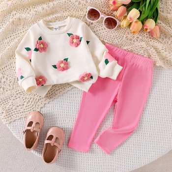 Set de două piese pentru fete, cu guler rotund, tridimensional, brodat cu flori, hanorac, culoare solidă, pantaloni, în comerț exterior transfrontalier, cel mai bine vândut în Europa și America, toamna și iarna