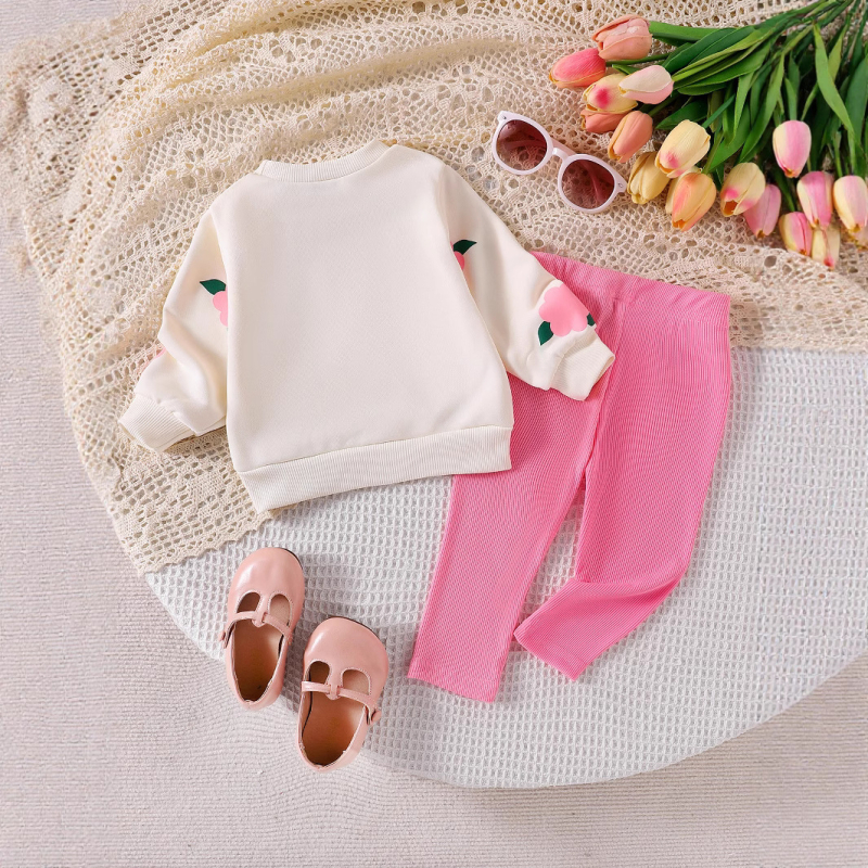 Set de două piese pentru fete, cu guler rotund, tridimensional, brodat cu flori, hanorac, culoare solidă, pantaloni, în comerț exterior transfrontalier, cel mai bine vândut în Europa și America, toamna și iarna