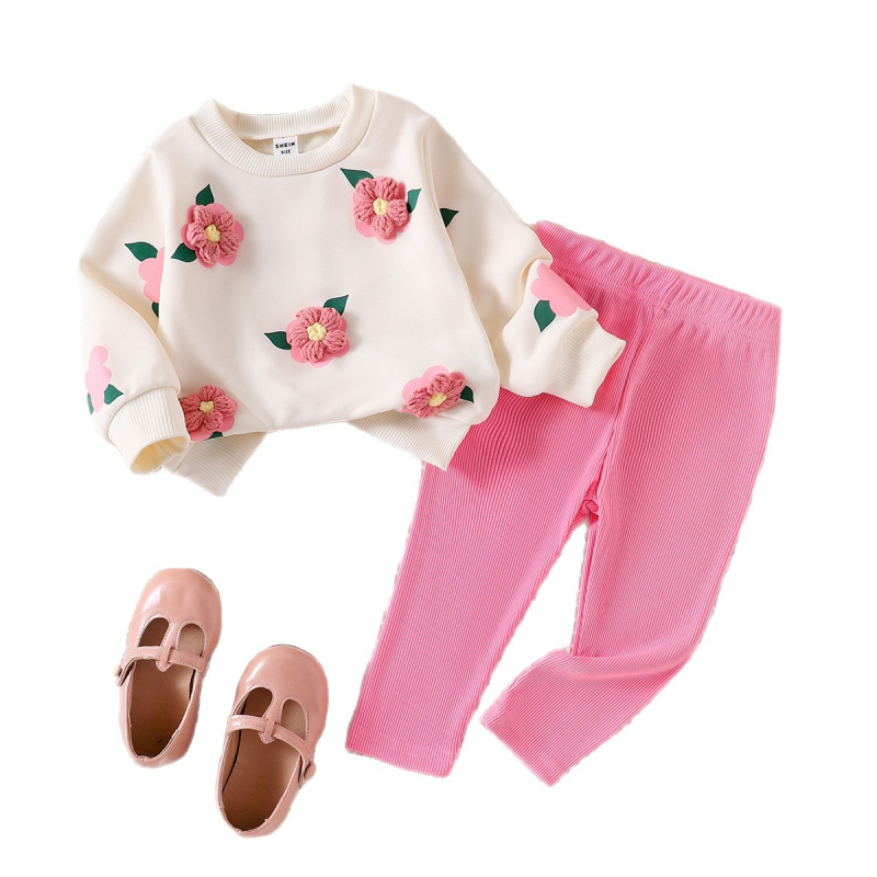 Set de două piese pentru fete, cu guler rotund, tridimensional, brodat cu flori, hanorac, culoare solidă, pantaloni, în comerț exterior transfrontalier, cel mai bine vândut în Europa și America, toamna și iarna