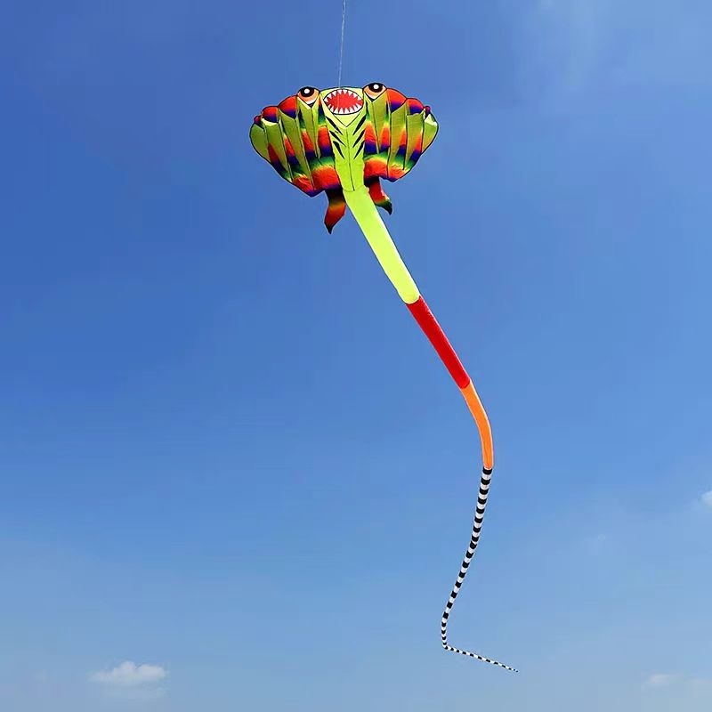 Lihua oriģinālais jaunais augstas klases lielo makreļu pūķis Stereo vēja izturīgs un spēcīgs pieaugušo pūķu brīze, viegli lidojams vairumtirdzniecībā