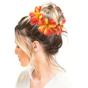 5 erinevat Hawaii plumeria juuksekummi komplekt rannapuhkuseks ja reisifotodeks. Naistele mõeldud krunnidega juuksesidemed.