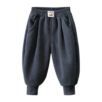 Παιδικά ρούχα χονδρικής για αγόρια, παιδικά παντελόνια με φλις επένδυση, παιδικά παντελόνια από κοτλέ, φθινοπωρινά και χειμερινά παντελόνια φόρμας με χοντρό πάχος, εξωτερικά ρούχα από κορεάτικο στιλ