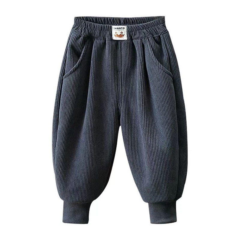 Lasteriiete hulgimüük poiste fliisvoodriga lastepüksid laste kordvelvetist püksid sügis- ja talvemoe brändi paksendatud dressipüksid Korea stiilis pealisrõivad