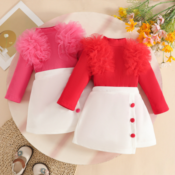 Armas beebitüdruku võrkkangast pitsist pikkade varrukatega pluus, dekoratiivne nööpidega seelik, sügis- ja talveseeliku kaheosaline komplekt