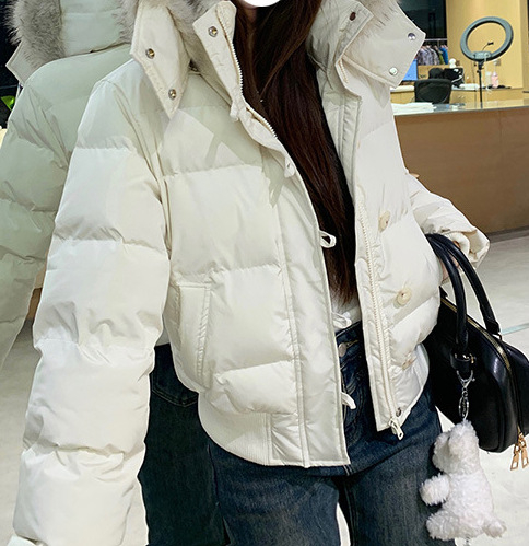 Jachetă de iarnă pentru femei, stil coreean, cu guler de blană, căptușită cu bumbac, căptușită cu blană de raton, îngroșată
