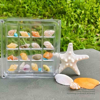 Šventinė kūrybinė akrilinė permatoma kriauklių laikymo dėžutė Pajūrio akmens maža kriauklių kolekcija magnetinė laikymo dėžutė