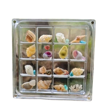Šventinė kūrybinė akrilinė permatoma kriauklių laikymo dėžutė Pajūrio akmens maža kriauklių kolekcija magnetinė laikymo dėžutė