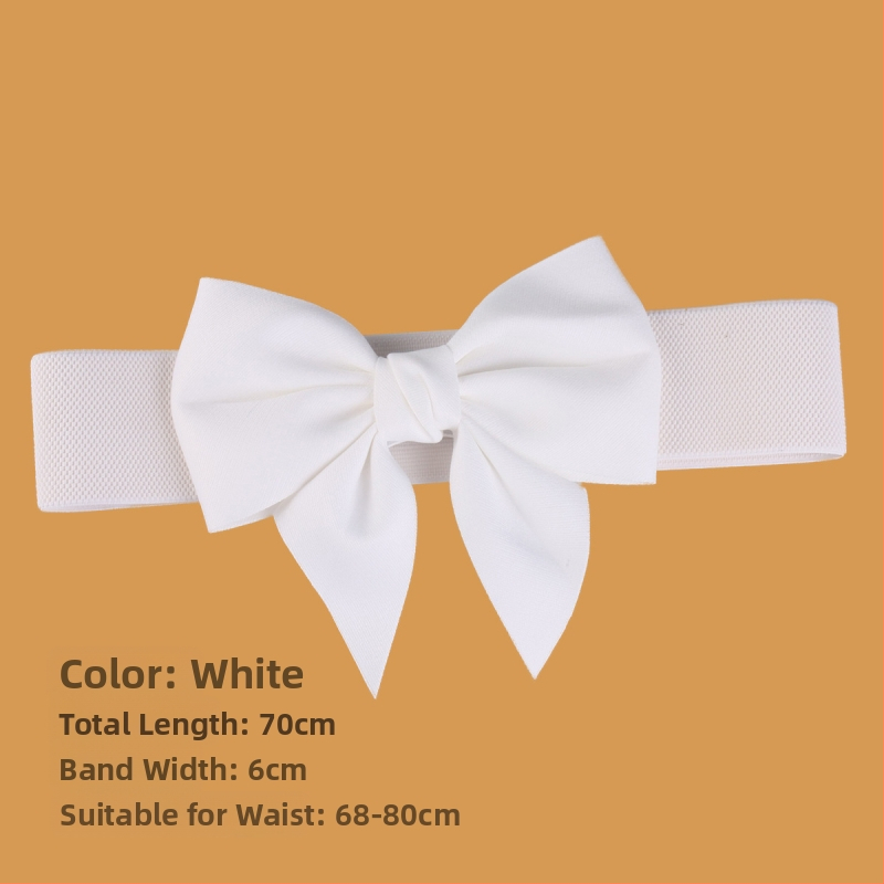 Γυναικείο φόρεμα με διακοσμητική ζώνη και πλαστική μέση, ελαστική μέση, διασυνοριακό, AliExpress Amazon