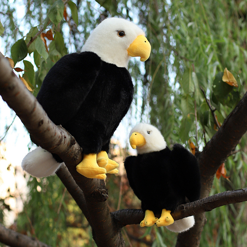 Piiriülene simulatsioonilind, kaljukotkas, öökull, laste õpetamise plush-mänguasi, loomaaia nukk