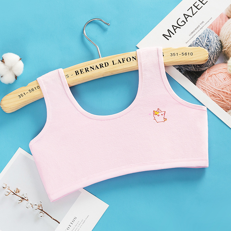 Puhast puuvillast kahekihilised arendavad tüdrukute vestid, neljavärvilised multifilmiteemalised tüdrukute torutopsid vanematele lastele, algkooliõpilastele ja gümnaasiumiõpilaste lähedastele.