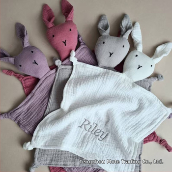 Pielāgota izšūta vārda mazuļa komforta lelles sega mazuļa miega dāvana grūtniecei un jaundzimušajam