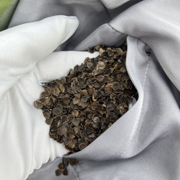 Tatrakoorega joogapadi Zen-meditatsiooni meditatsioonipadi algajatele Joogaasendipadi Padi rasedatele