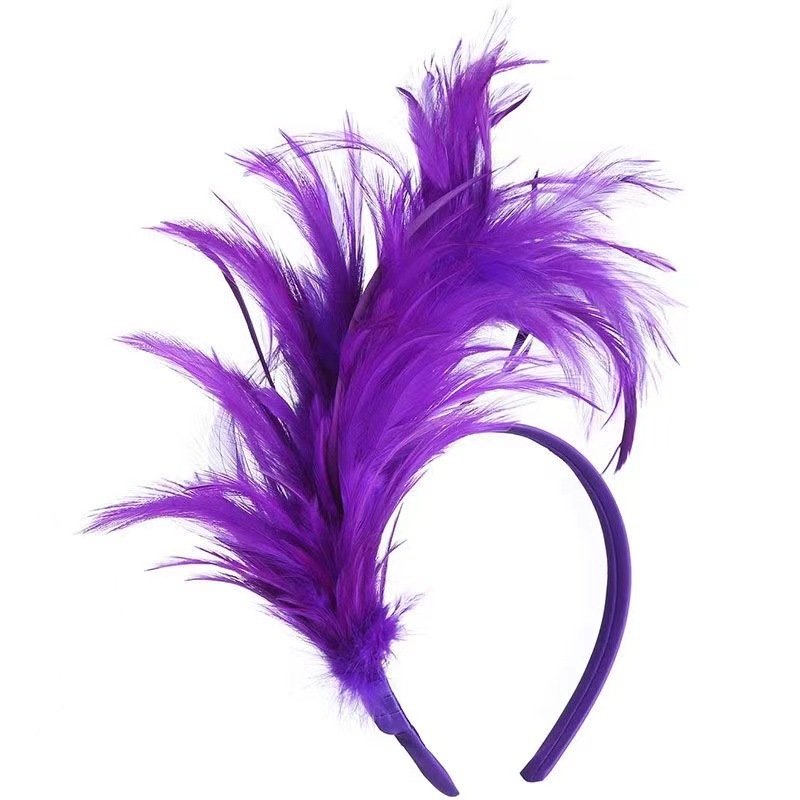 Transfrontaliere nouă bandă de păr cu pene petrecere scenă spectacol vacanță carnaval bijuterii