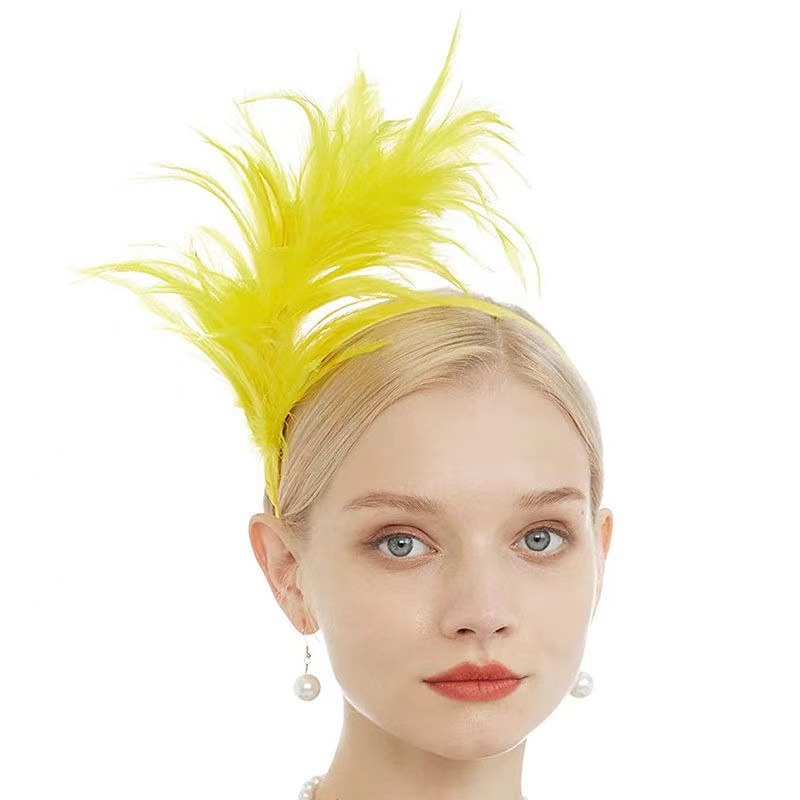 Transfrontaliere nouă bandă de păr cu pene petrecere scenă spectacol vacanță carnaval bijuterii