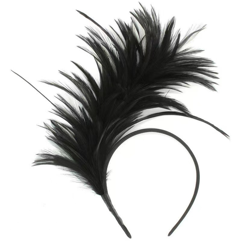 Transfrontaliere nouă bandă de păr cu pene petrecere scenă spectacol vacanță carnaval bijuterii