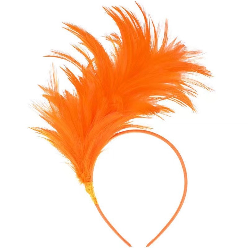 Transfrontaliere nouă bandă de păr cu pene petrecere scenă spectacol vacanță carnaval bijuterii