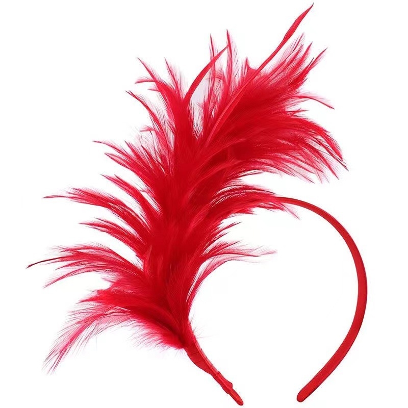 Transfrontaliere nouă bandă de păr cu pene petrecere scenă spectacol vacanță carnaval bijuterii