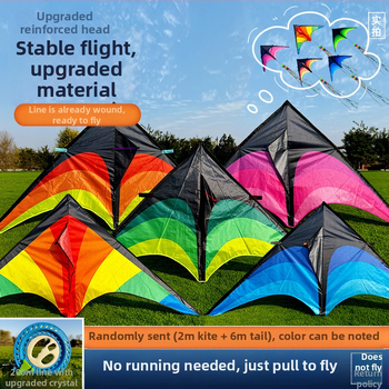 Weifang Kite 2022 Νέο μοντέλο Kite σε Kite Line Οικογενειακά Παιδικά Παιχνίδια Εξωτερικού Χώρου Πηγή Εξαγωγής Εργοστάσιο Χονδρικής