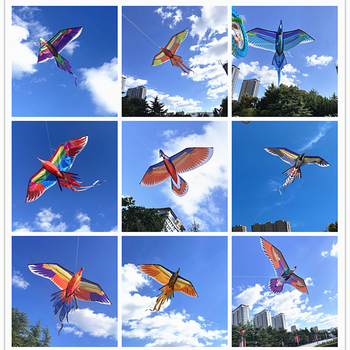 Jauns simulācijas pūķis bērniem, ērgļa lidojošs putnu brīze, viegli lidojams, vairumtirdzniecības dinamiskā simulācijas pūķis Veifangas pūķu ražotājs