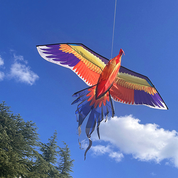 Jauns simulācijas pūķis bērniem, ērgļa lidojošs putnu brīze, viegli lidojams, vairumtirdzniecības dinamiskā simulācijas pūķis Veifangas pūķu ražotājs