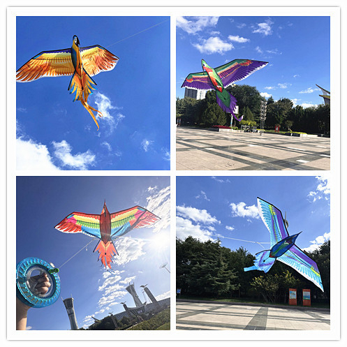 Jauns simulācijas pūķis bērniem, ērgļa lidojošs putnu brīze, viegli lidojams, vairumtirdzniecības dinamiskā simulācijas pūķis Veifangas pūķu ražotājs