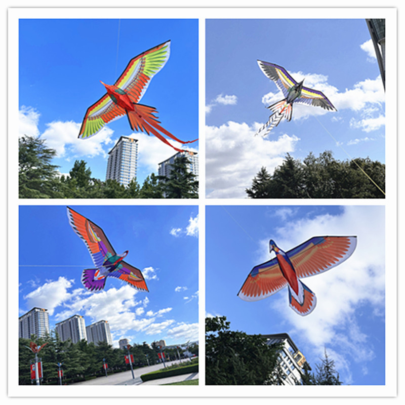 Jauns simulācijas pūķis bērniem, ērgļa lidojošs putnu brīze, viegli lidojams, vairumtirdzniecības dinamiskā simulācijas pūķis Veifangas pūķu ražotājs