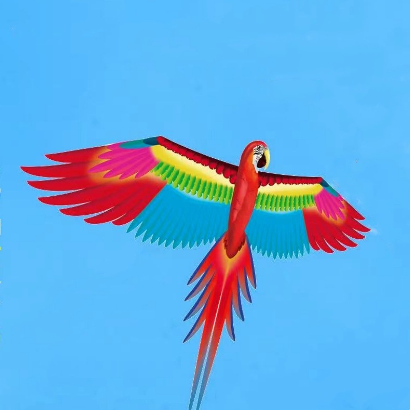 Jauns simulācijas pūķis bērniem, ērgļa lidojošs putnu brīze, viegli lidojams, vairumtirdzniecības dinamiskā simulācijas pūķis Veifangas pūķu ražotājs