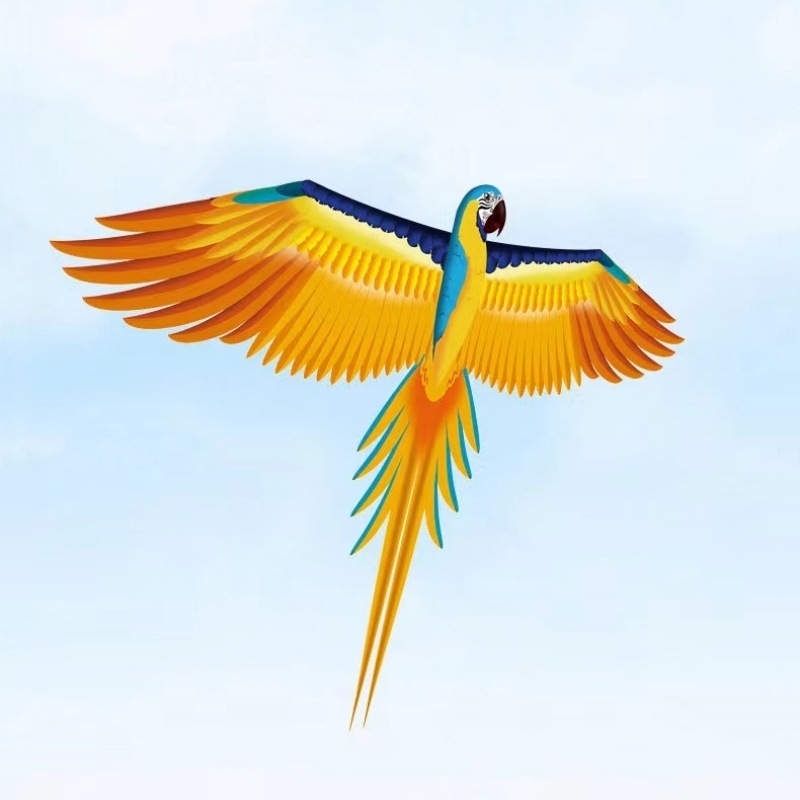 Jauns simulācijas pūķis bērniem, ērgļa lidojošs putnu brīze, viegli lidojams, vairumtirdzniecības dinamiskā simulācijas pūķis Veifangas pūķu ražotājs