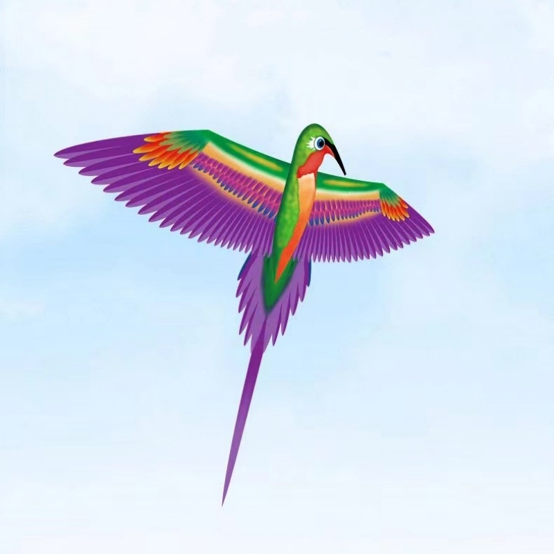 Jauns simulācijas pūķis bērniem, ērgļa lidojošs putnu brīze, viegli lidojams, vairumtirdzniecības dinamiskā simulācijas pūķis Veifangas pūķu ražotājs