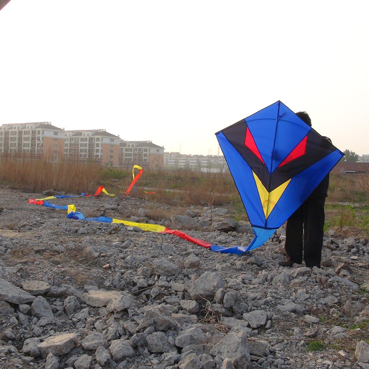 Jauns simtkājis Jinwei Tianlong 11 metri 15 metri 30 metri 50 metri zaļa čūska gara aste liels pūķis vairumtirdzniecība labi mušu ražotāji