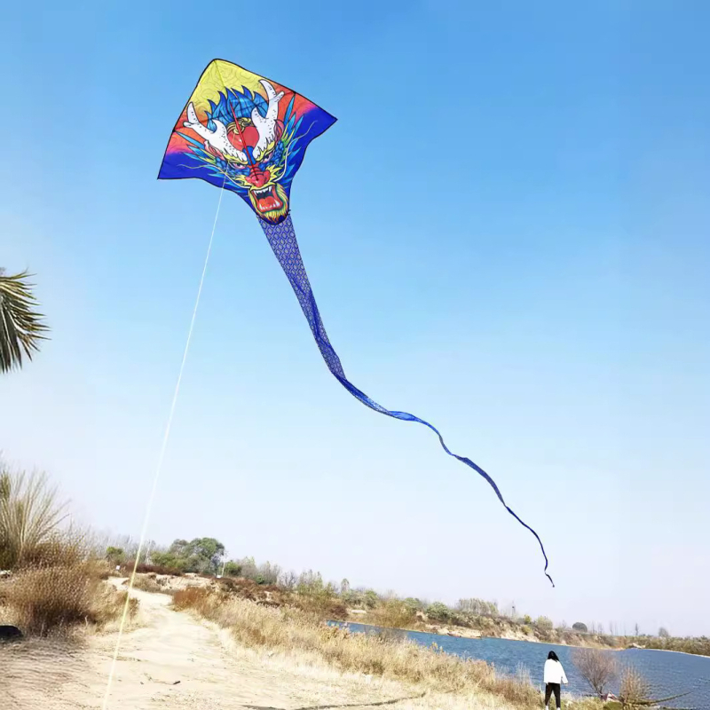 Jauns simtkājis Jinwei Tianlong 11 metri 15 metri 30 metri 50 metri zaļa čūska gara aste liels pūķis vairumtirdzniecība labi mušu ražotāji