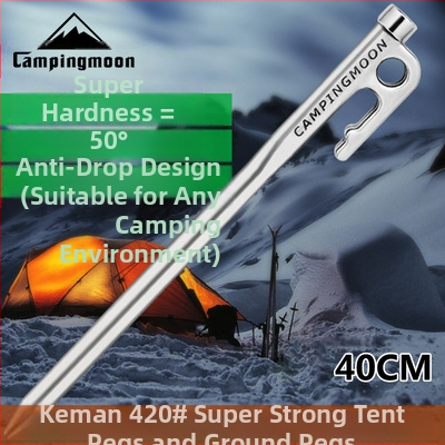 Pludmales nagla 30CM10 avārijas tuksneša ainaviskās vietas kempinga plastmasas RV ceļojumu fiksatora komplekts